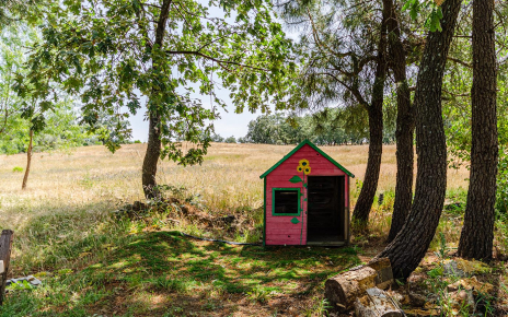 Some spots for the little ones